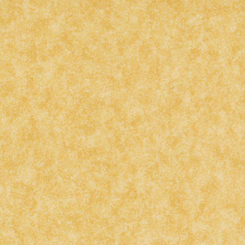 柔軟で緻密な異種床材