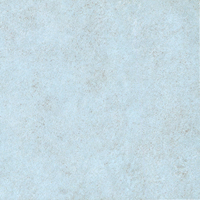 絶妙なデザインの異種床材