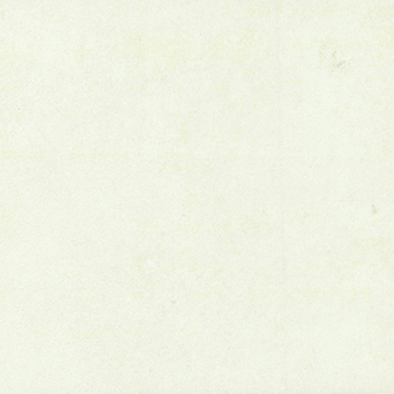 絶妙なデザインの異種床材