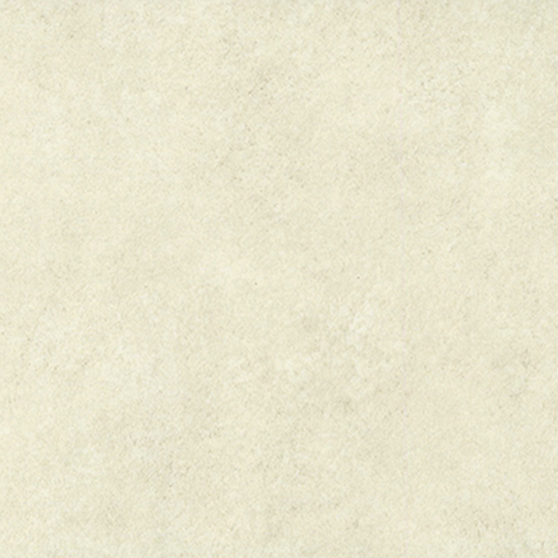 絶妙なデザインの異種床材