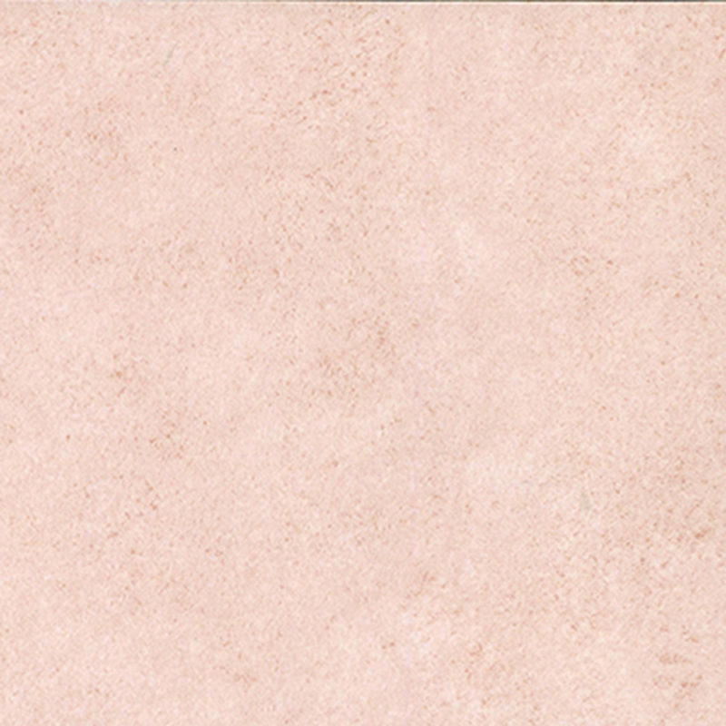 絶妙なデザインの異種床材