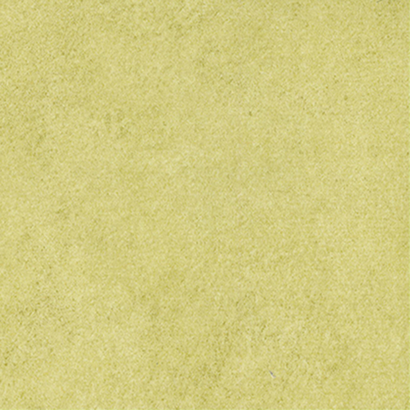 絶妙なデザインの異種床材