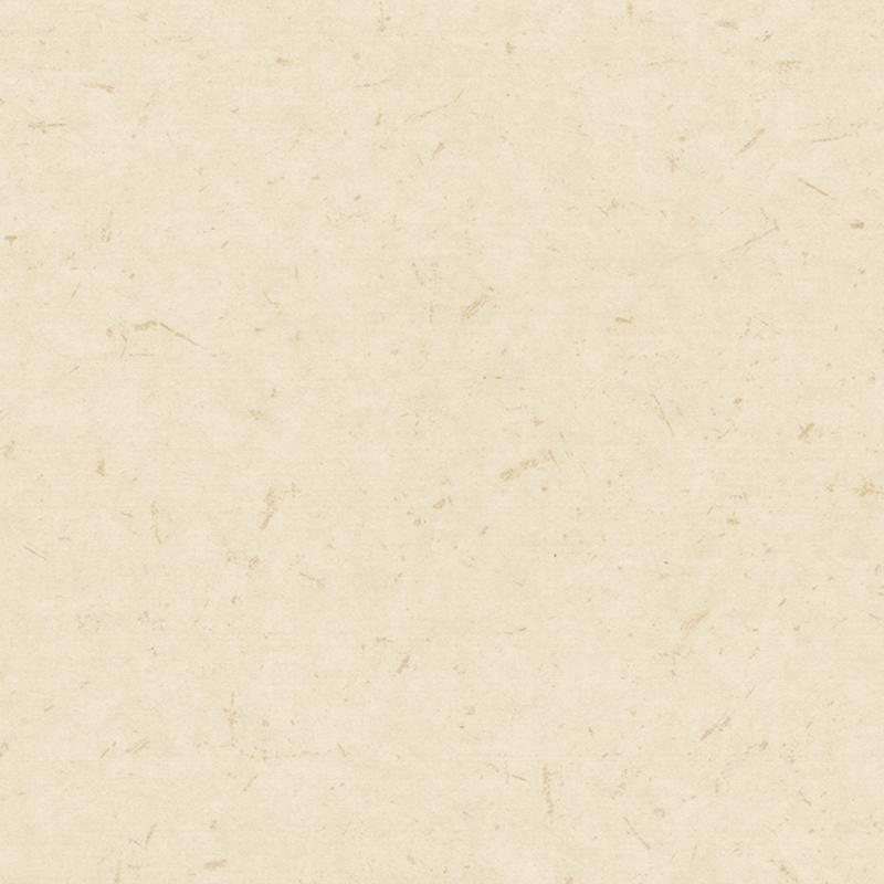 抗菌・帯電防止異種床材