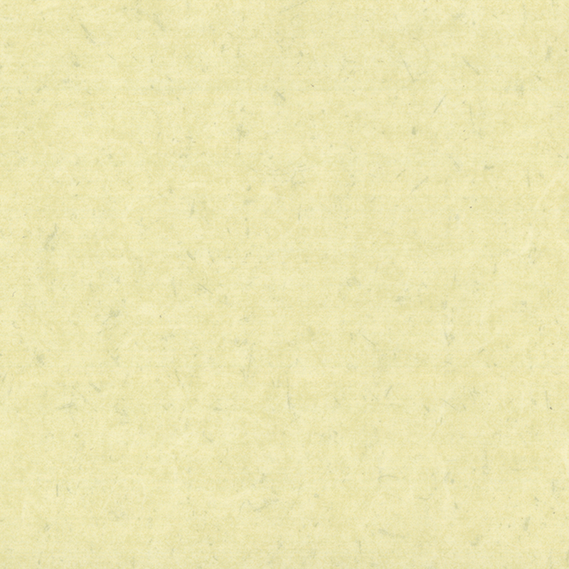 抗菌・帯電防止異種床材