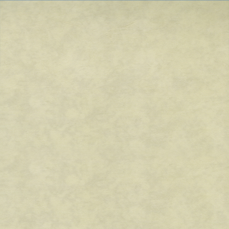 環境に優しい耐摩耗性異種床材