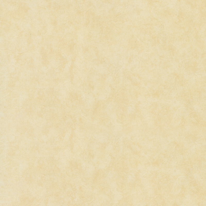 環境に優しい耐摩耗性異種床材