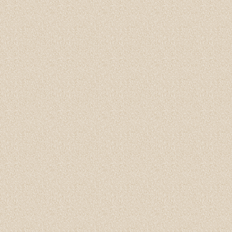 滑り止めと耐摩耗性を備えた異種床材