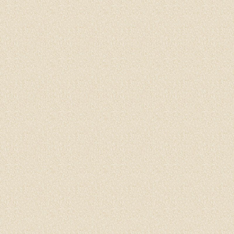 滑り止めと耐摩耗性を備えた異種床材