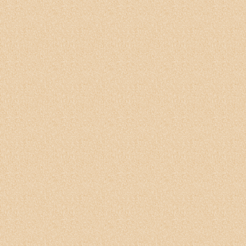 滑り止めと耐摩耗性を備えた異種床材