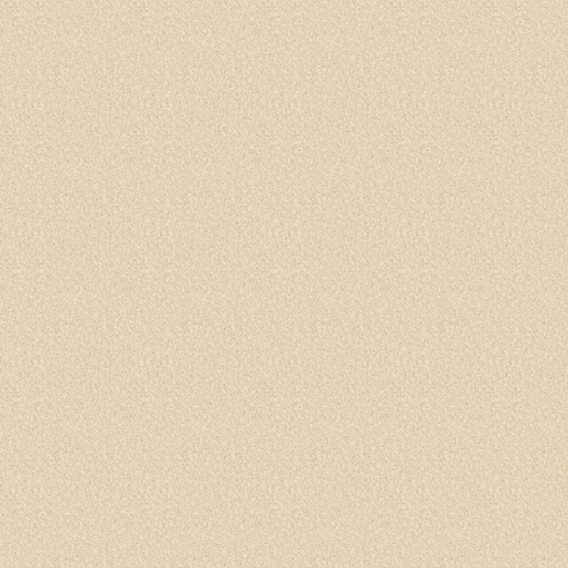 滑り止めと耐摩耗性を備えた異種床材