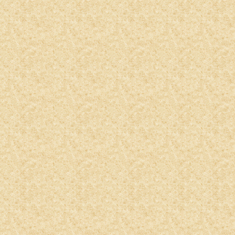 3Dストーンタッチ風異種床材