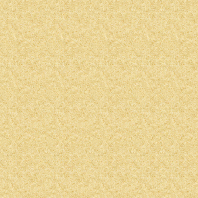 3Dストーンタッチ風異種床材