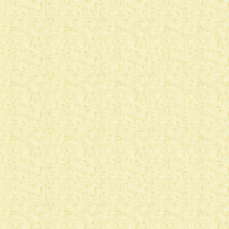 高密度&快適な異種床材のデザイン