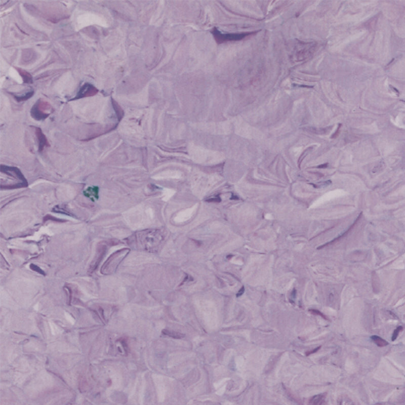 パーフェクトバランス均質床材