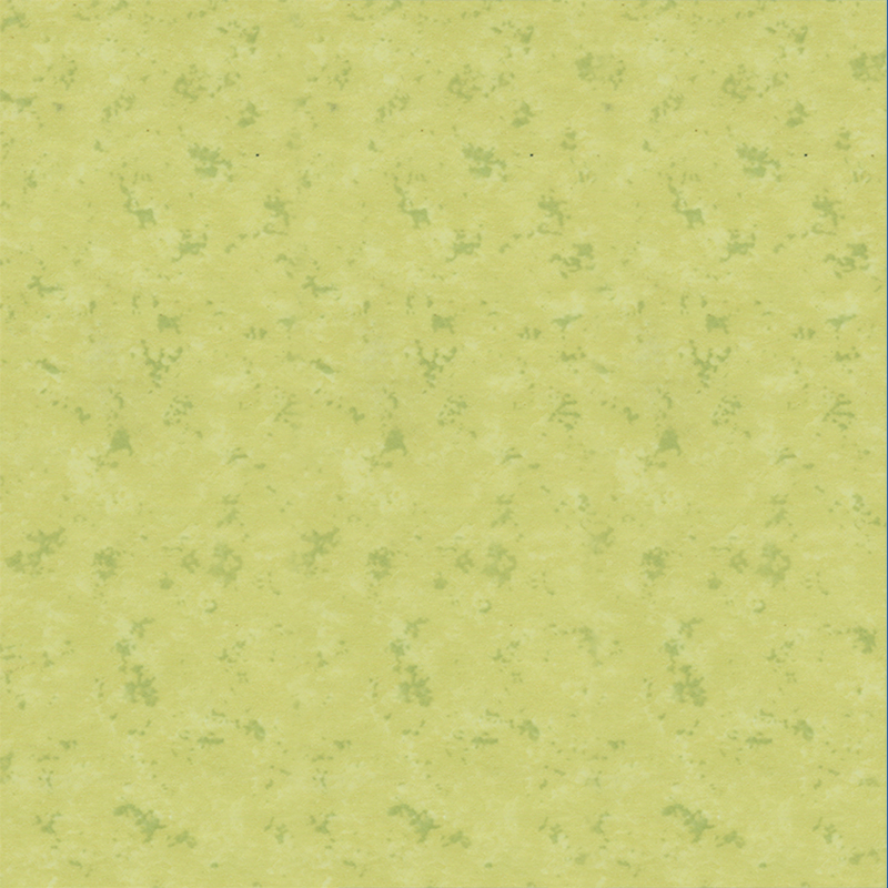 内壁用の耐火性および滑り止め装飾PVCクラッディング