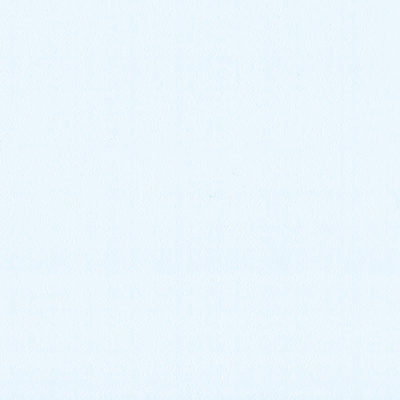 内壁用の自然美装飾PVCクラッディング