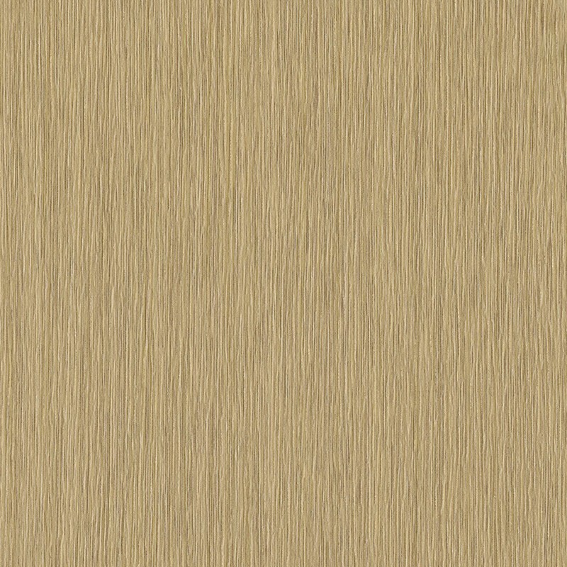 内壁用の自然美装飾PVCクラッディング