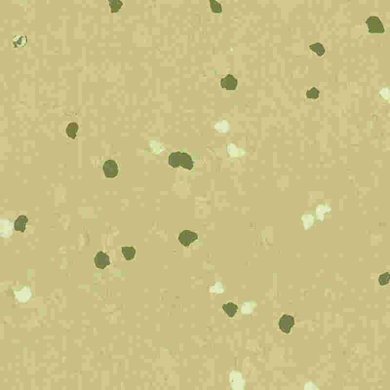 傷つきにくい高弾性ゴム床材