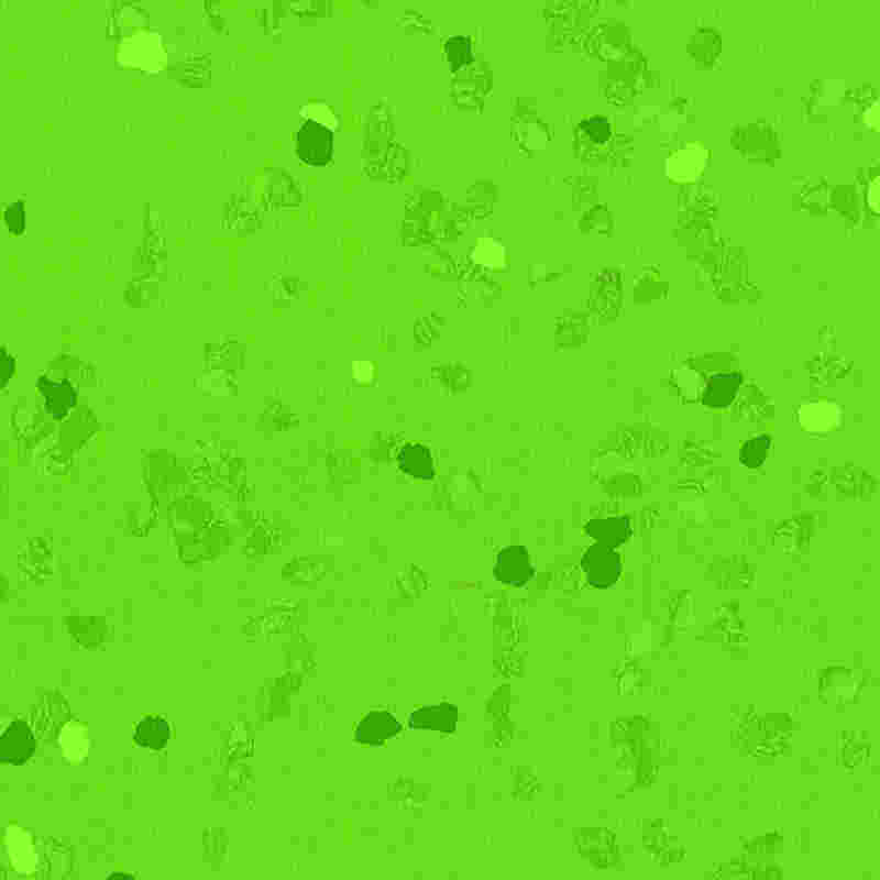 傷つきにくい高弾性ゴム床材