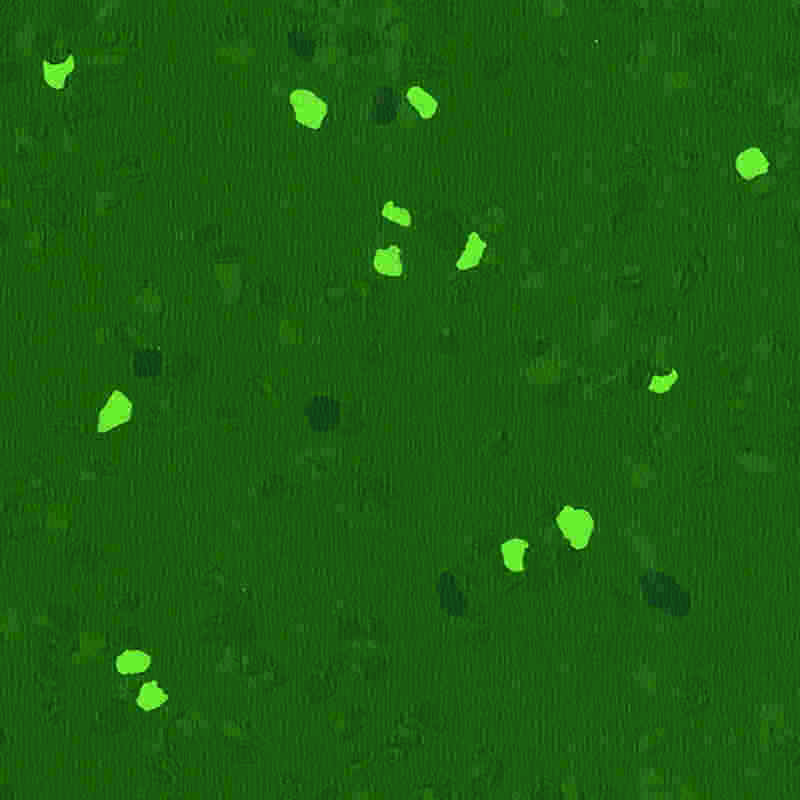 傷つきにくい高弾性ゴム床材