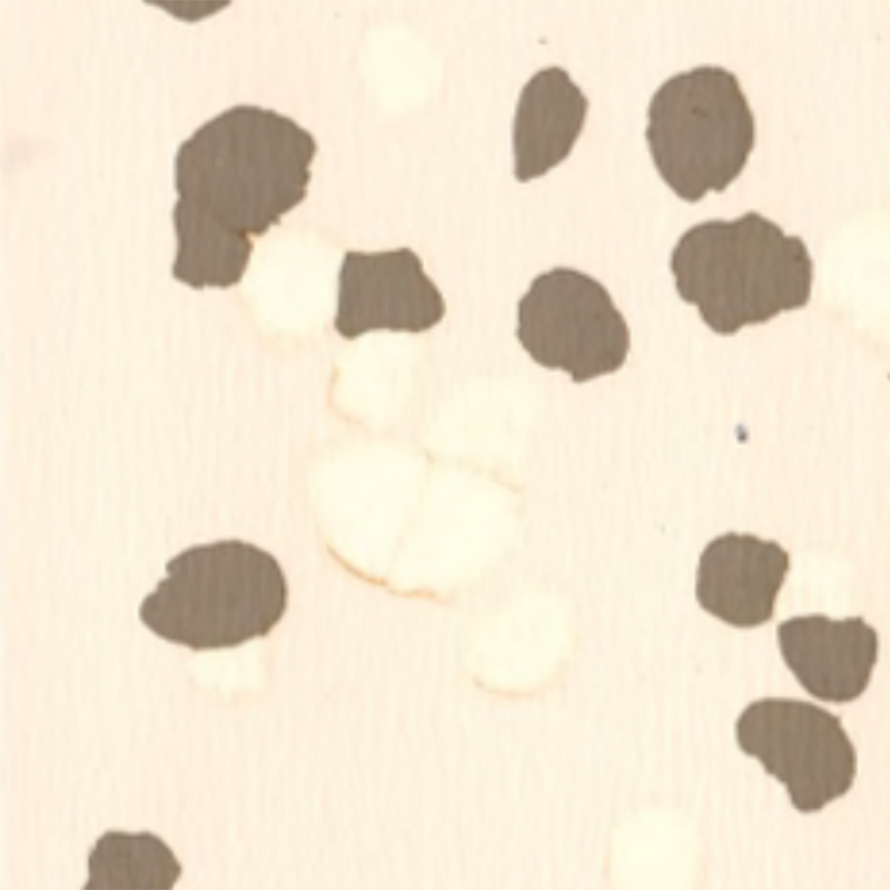 滑りにくく傷がつきにくいゴム製床材