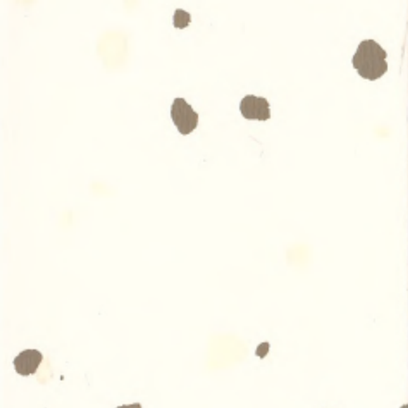 環境に優しいゴム製床材