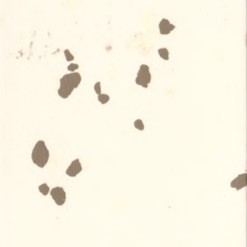 環境に優しいゴム製床材